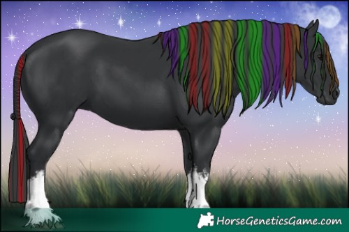 Horse Color:Painted White Spotted Black 