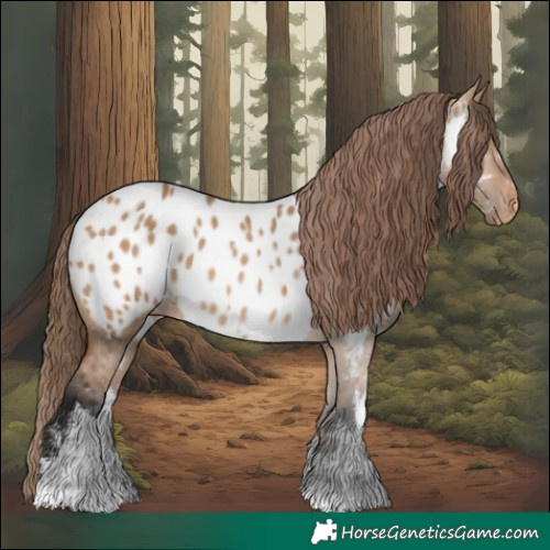 Horse Color:White Spotted Bay Dun Appaloosa