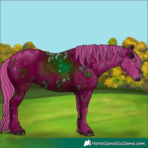 Horse Color:ERROR: UNKNOWN ANOMALY