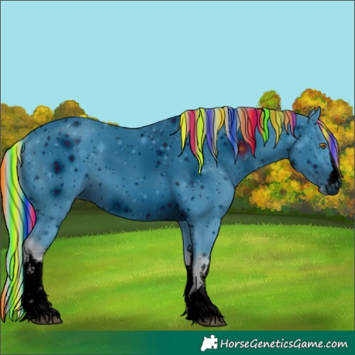 Horse Color:ERROR: UNKNOWN ANOMALY