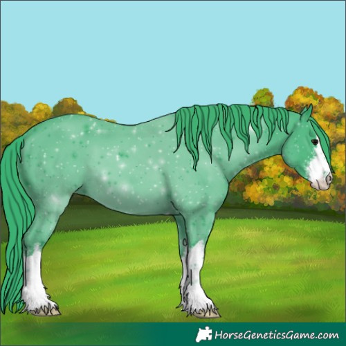 Horse Color:Watercolor White Spotted Black 