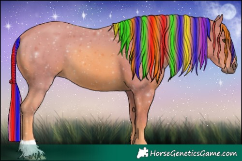 Horse Color:Painted Watercolor Chestnut 