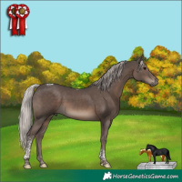 Horse Color:Silver Black Tobiano