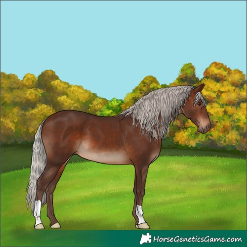 Horse Color:Silver Brown 