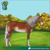 Horse Color:Silver Bay
