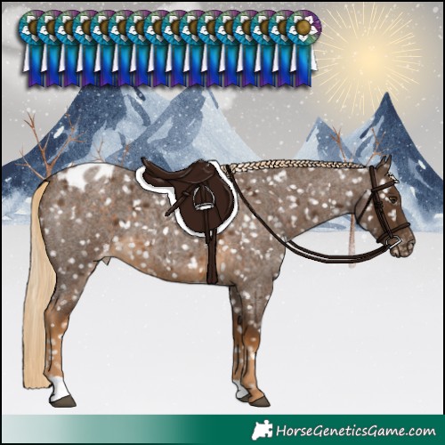Horse Color:Chocolate Palomino Roan Snowflake Varnish 