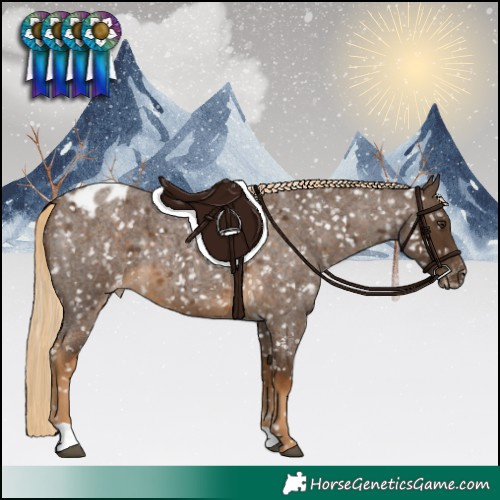 Horse Color:Chocolate Palomino Roan Appaloosa 