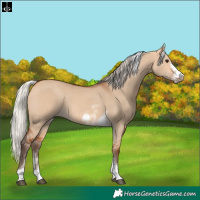 Horse Color:Silver Bay Dun Sabino Tobiano Frame Rabicano 
