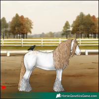 Horse Color:White Spotted Red Dun Frame Blanket Rabicano