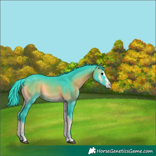 Horse Color:Watercolor Brown Onyx Rabicano 