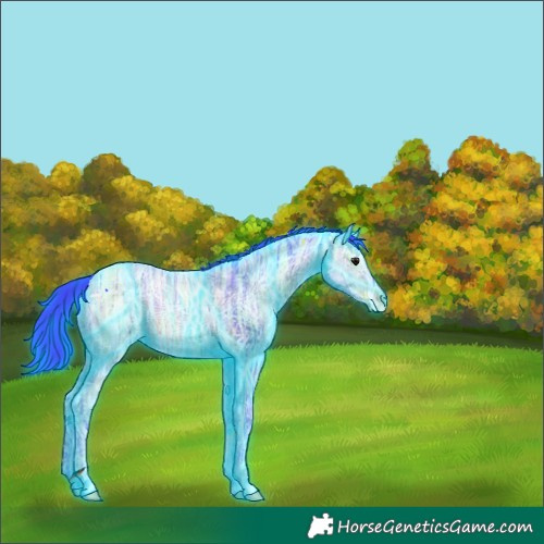 Horse Color:Thunderstruck Watercolor Brown Ice Rabicano