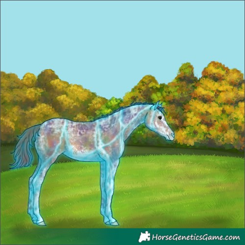 Horse Color:Nacre Thunderstruck White Spotted Brown Ice 