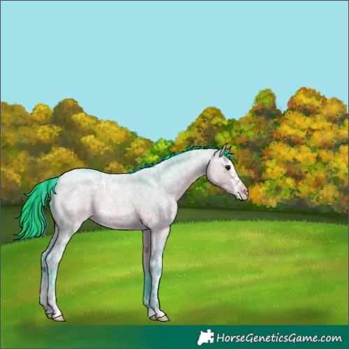Horse Color:Painted Watercolor White Spotted Bay Ice Roan 