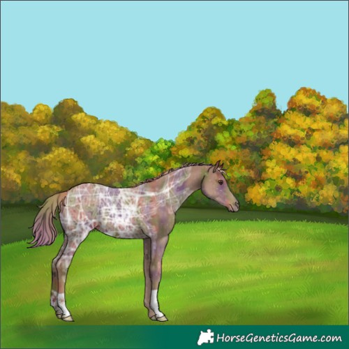 Horse Color:Nacre Chestnut Ice 