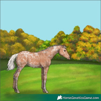 Horse Color:Silver Bay Ice 