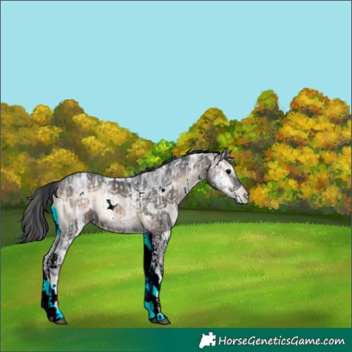Horse Color:White Spotted Brown Ice Onyx Rabicano 