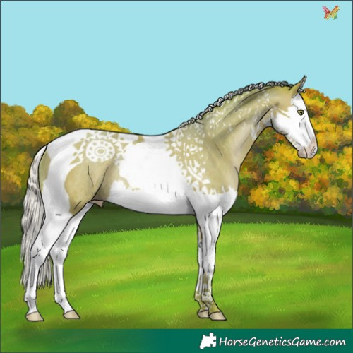 Horse Color:Watercolor Silver Sable Champagne Splash Tobiano Rabicano 