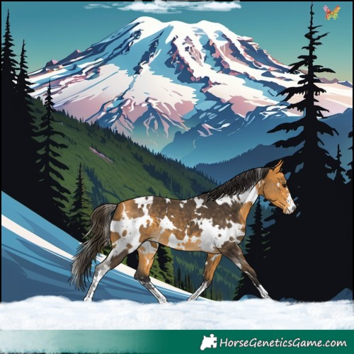 Horse Color:White Spotted Buckskin 