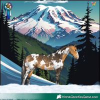 Horse Color:White Spotted Buckskin