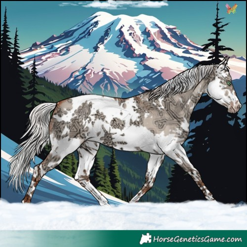 Horse Color:White Spotted Silver Classic Champagne Ice Dun Splash 