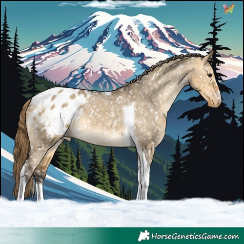 Horse Color:Buckskin Dun Tobiano Snowflake Varnish 
