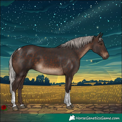 Horse Color:Silver Brown Tobiano 