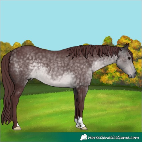 Horse Color:Platinum Chocolate Buckskin