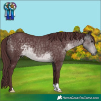 Horse Color:Platinum Chocolate Buckskin 