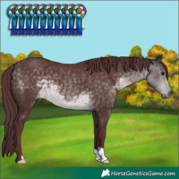 Horse Color:Platinum Chocolate Buckskin 