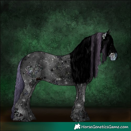 Horse Color:ERROR: UNKNOWN ANOMALY