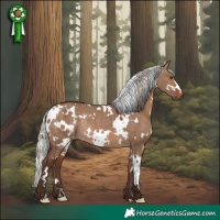 Horse Color:White Spotted Silver Brown Dun Rabicano