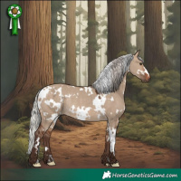 Horse Color:White Spotted Silver Brown Dun Rabicano 