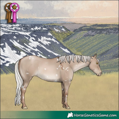 Horse Color:White Spotted Silver Grullo Pearl Mushroom Rabicano 