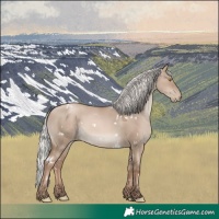 Horse Color:White Spotted Silver Grullo Pearl Mushroom Rabicano