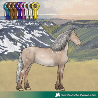 Horse Color:White Spotted Silver Grullo Pearl Mushroom Rabicano 