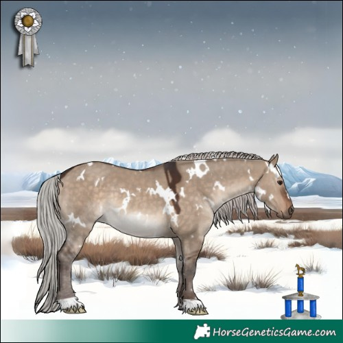 Horse Color:White Spotted Silver Brown Dun Rabicano