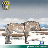 Horse Color:White Spotted Silver Brown Dun Rabicano 