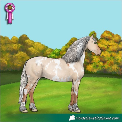 Horse Color:White Spotted Silver Brown Pearl Dun Rabicano 