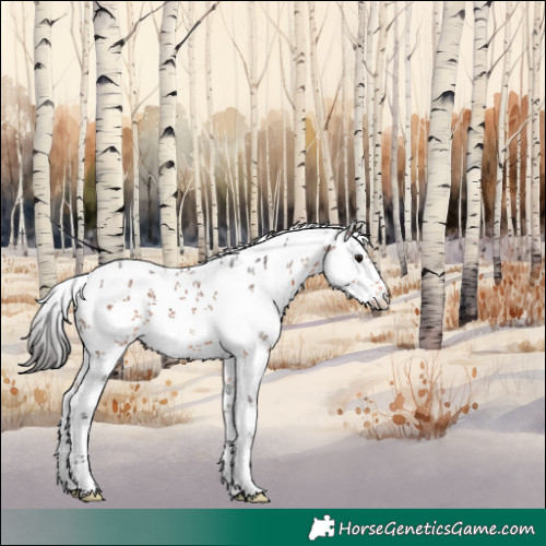 Horse Color:White Spotted Brown Sabino 