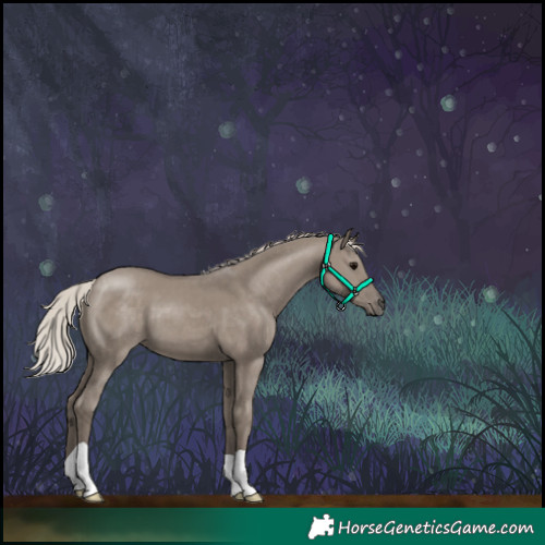 Horse Color:Silver Grullo 