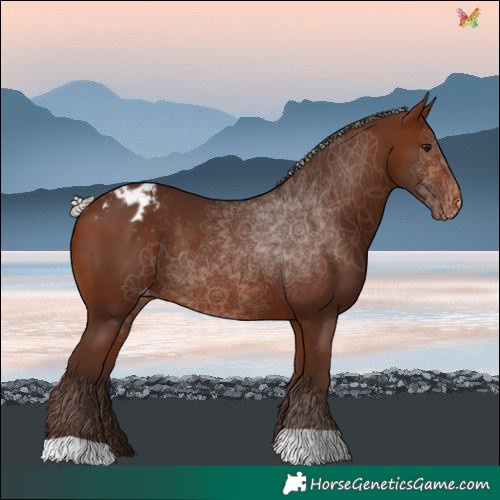 Horse Color:Silver Brown Blanket Rabicano 