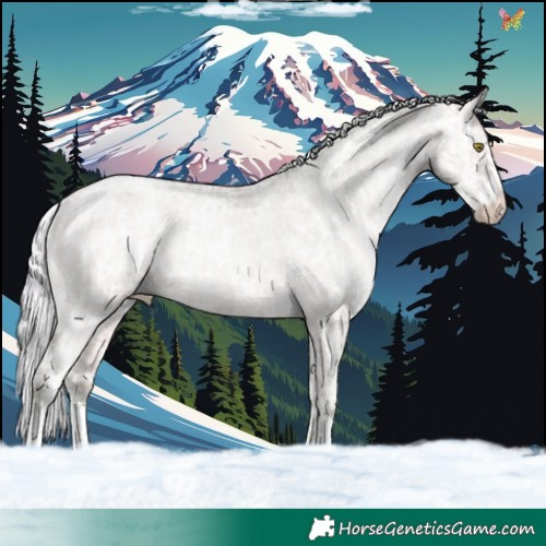 Horse Color:Watercolor Silver Bay Ice Pearl Dun Appaloosa Rabicano 