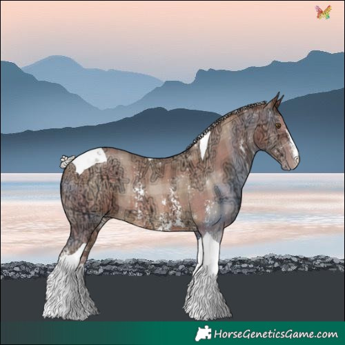 Horse Color:Plaid  Silver Brown Ice Pearl Sabino Tobiano Rabicano 