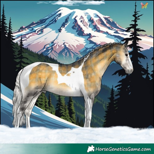 Horse Color:Plaid  Silver Buckskin Onyx Tobiano Rabicano 