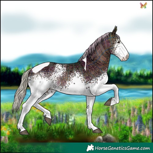 Horse Color:Plaid  White Spotted Silver Brown Ice Tobiano Rabicano 