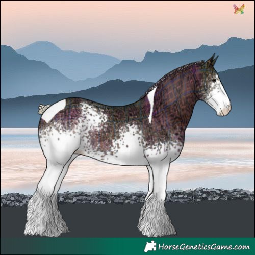Horse Color:Plaid  White Spotted Silver Brown Ice Tobiano Rabicano 