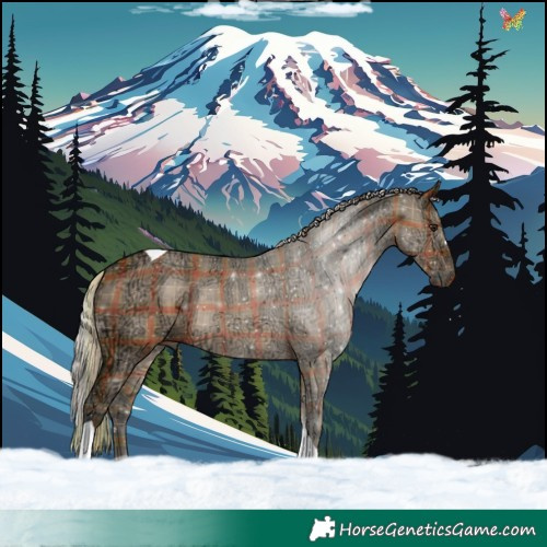 Horse Color:Plaid  Silver Brown Ice Dun Tobiano Rabicano 