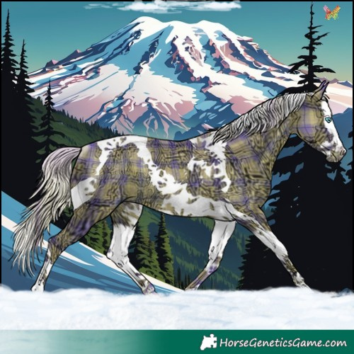 Horse Color:Watercolor Plaid  Silver Black Ice Splash Tobiano Rabicano 
