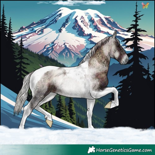 Horse Color:Plaid  Silver Brown Ice Onyx Tobiano 
