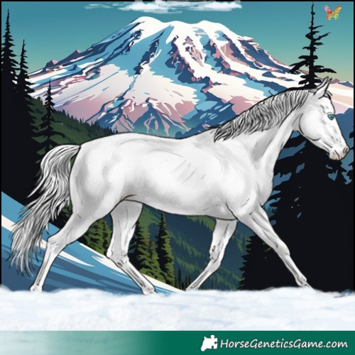 Horse Color:White Spotted Silver Perlino Dun Splash Appaloosa 